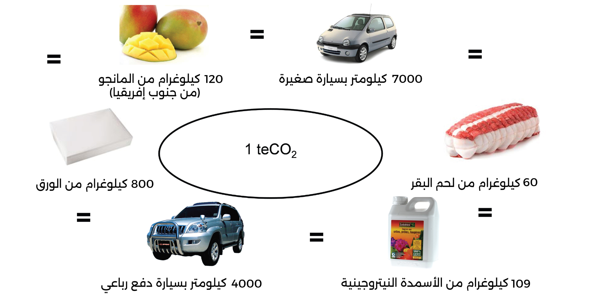 décarbonation tunisie